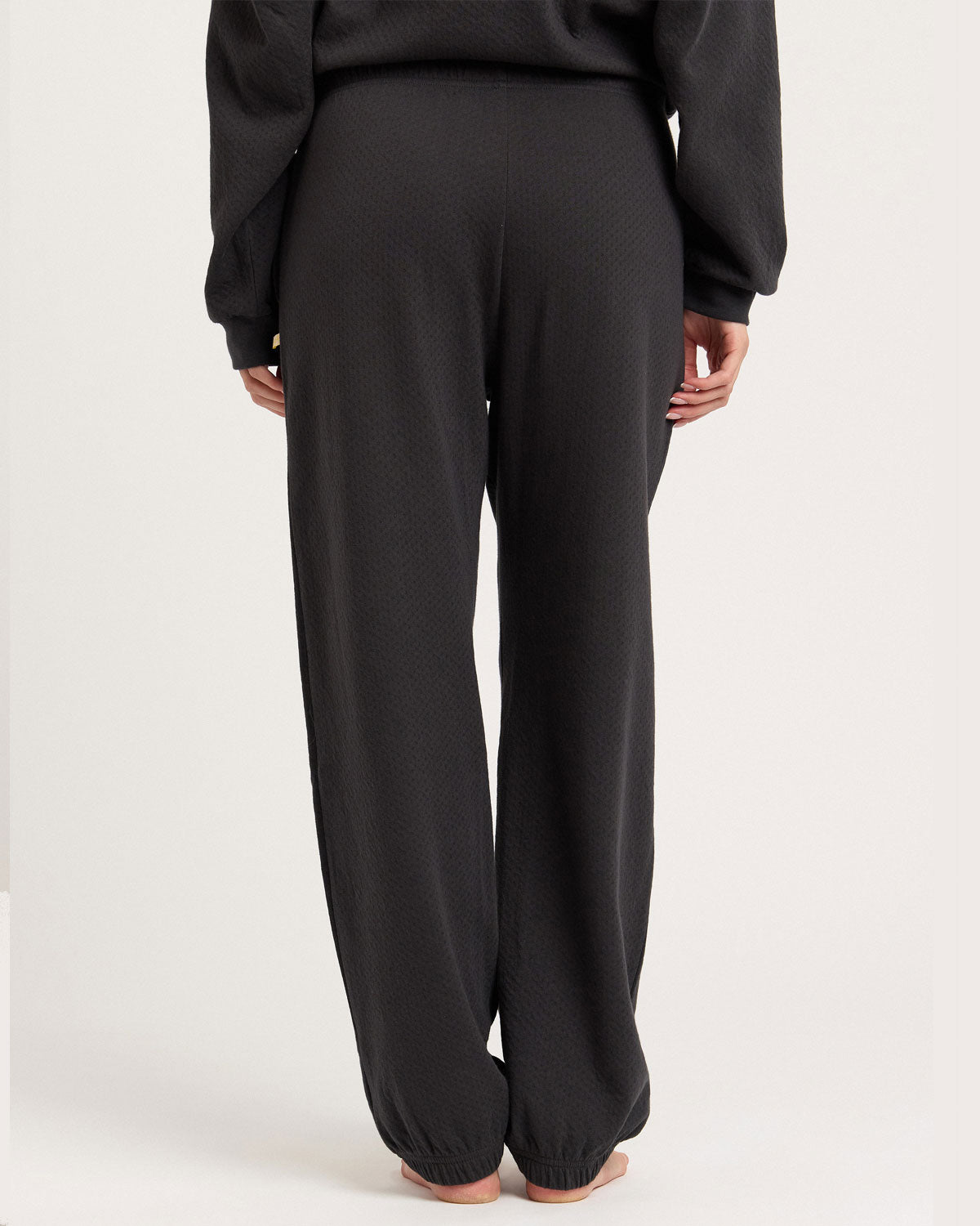 Bella Jogger in Ink Pointelle